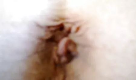 தனியா krasivyx ஆன்லைன் ஒரு நிலையான
