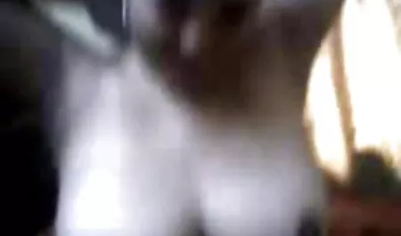 மாடுகள் உணர்ச்சி அழகான ஆபாச